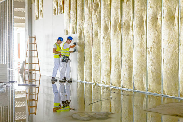 Best Residential Insulation in Southlake, TX